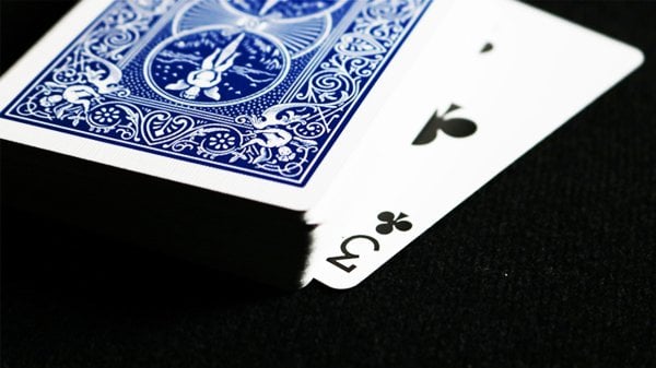 SİNEK 3,5