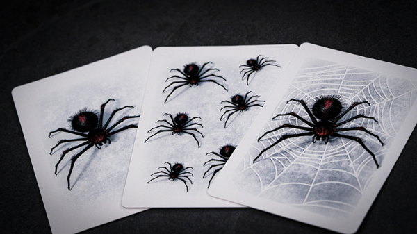 THE WEB RETURNS