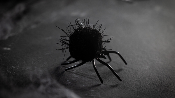 THE WEB RETURNS